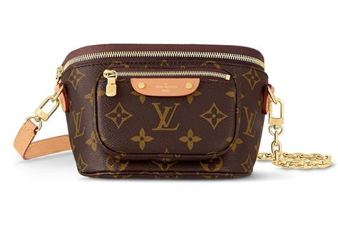 mini bum bag louis vuitton|louis vuitton bum bag monogram.